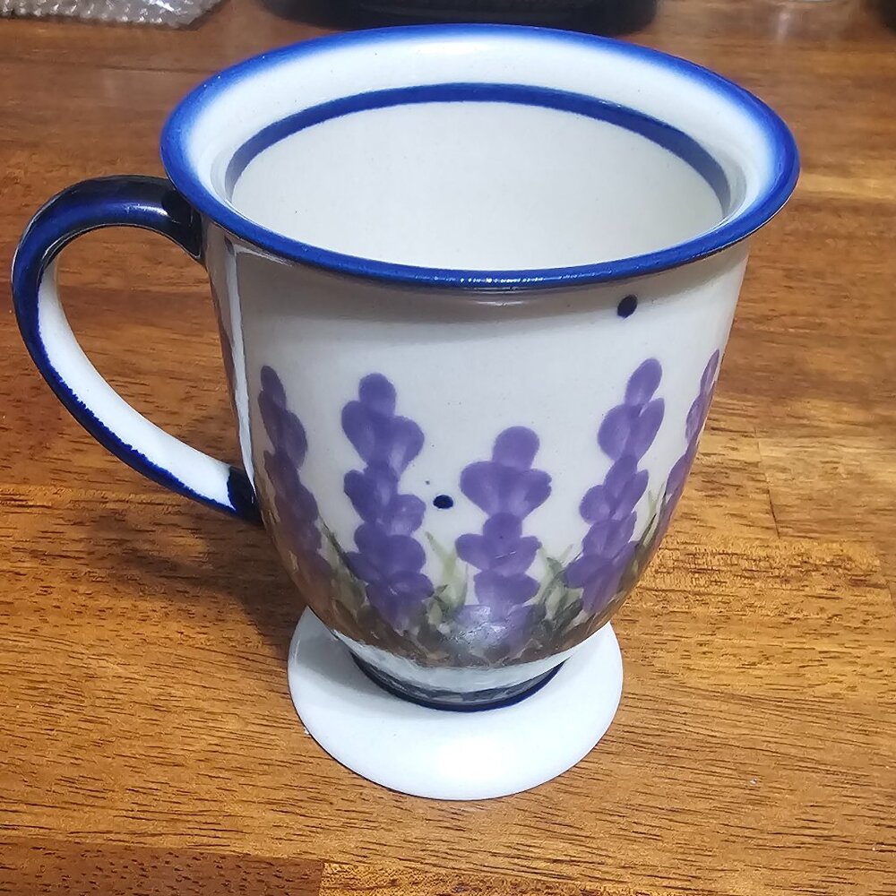 Boleslawiec Polish Pottery-Pedestal Mug